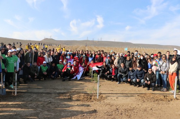 "Yaşıl Marafon" ağacəkmə kampaniyasında digər qurumlar da iştirak edir - FOTOLAR